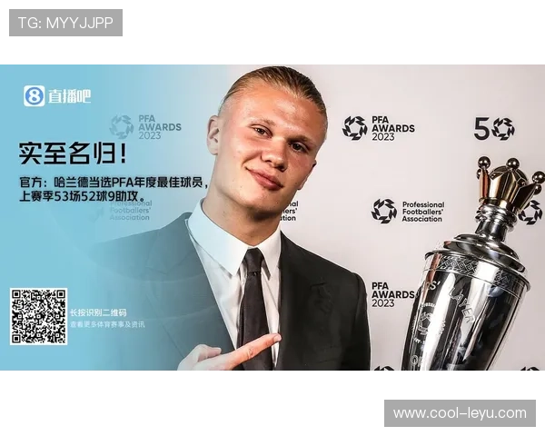 哈兰德个人荣誉是否不足？